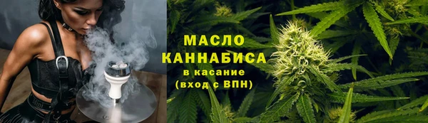 гидра Новодвинск