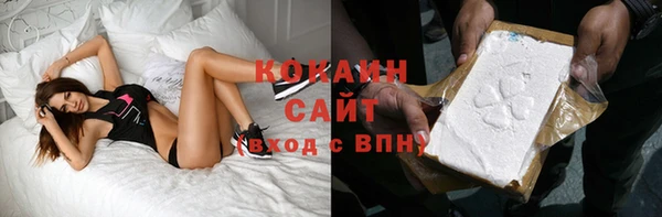 гидра Новодвинск