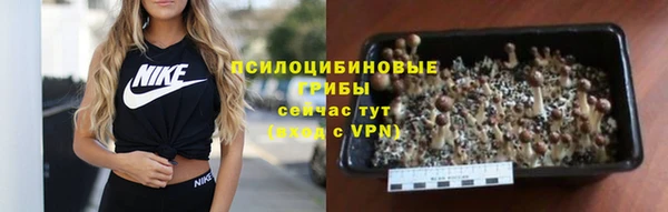 круглые Новозыбков