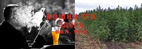 гидра Новодвинск