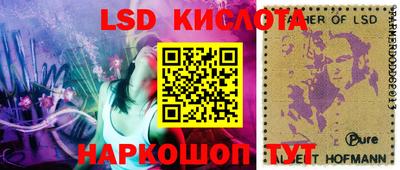 стаф Донской