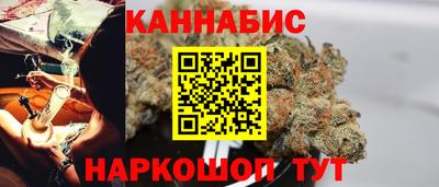стаф Донской