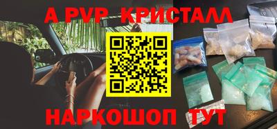 стаф Донской