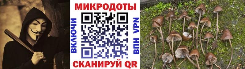 цены   Севастополь  Галлюциногенные грибы MAGIC MUSHROOMS 