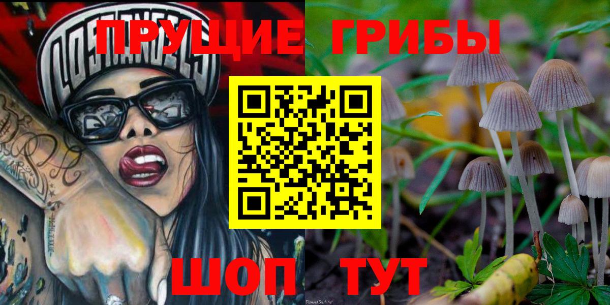 Псилоцибиновые грибы ЛСД  Севастополь  Псилоцибиновые грибы ЛСД 